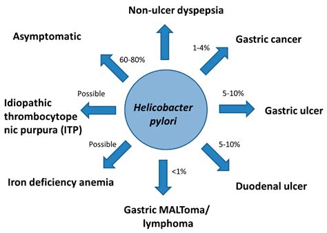 Cancers Free Full Text Efficacy And Long Term Safety Of H Pylori