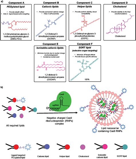 CRISPR Cas9 Genome Editing For TissueSpecific In Vivo Targeting