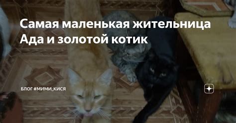 Самая маленькая жительница Ада и золотой котик | Блог #Мими_кися | Дзен