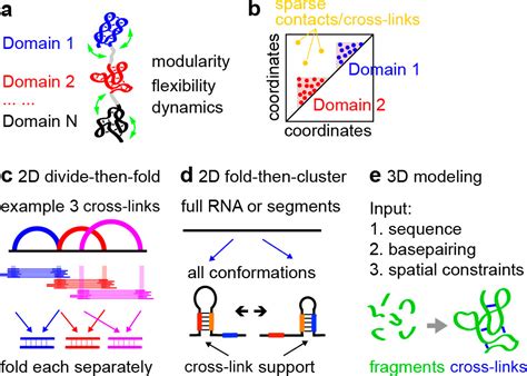 Chemical Rna Cross Linking Mechanisms Computational Analysis And