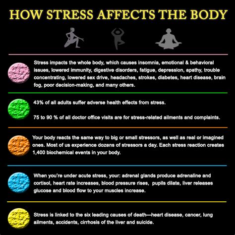 How Stress Affects The Body Infographic Truly Human Rocks