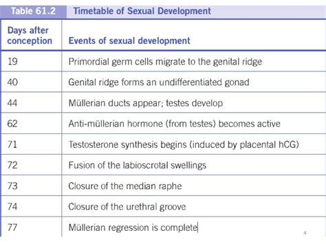 Approach To Dsd Ambiguous Genitalia