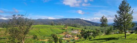 Nuwara Eliya