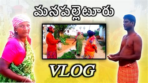 మన పల్లెటూరి Vlog My Village Vlog In Telugu మా పల్లెటూరు చుడండి