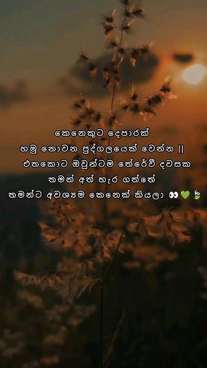 අනිවාර්යයෙන්ම 👀💚🍃වදන් Shortvideo Whatsapp Whatsappstatus Attitude