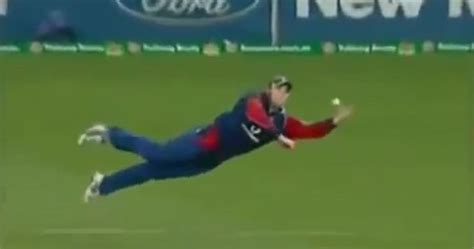 The Best Catches In Cricket History Of All Time Video Dailymotion