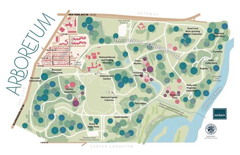 Arboretum Dc Neighborhood Map Print 11x17 Wild Places Prints