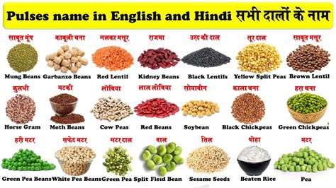 Pulses Names In English And Hindi With Pictures