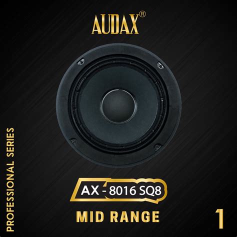 Jual Audax Speaker Pasif Ax Sq Mid Range Professional Series