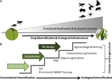 The Relationship Between A Functional Biodiversity Delivering Download Scientific Diagram