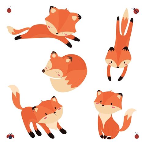 Premium Vector Cute Fox Set