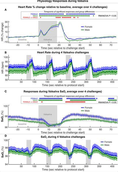 Frontiers Sex Differences In Insular Cortex Gyri Responses To The Valsalva Maneuver