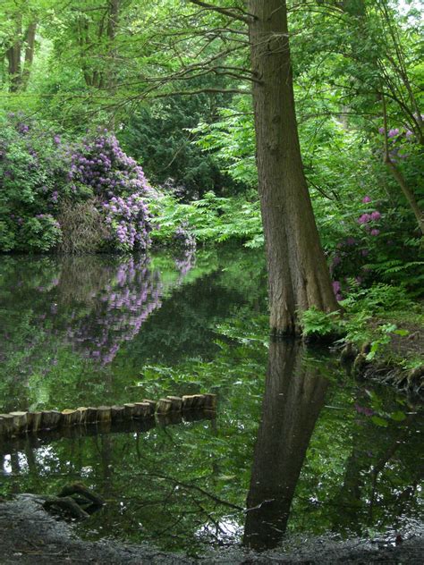 Tiergarten Pond By Erinm2000 On Deviantart