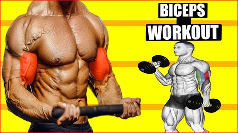 How To Make Bigger Biceps Exercises Fastest Best Biceps Exercises For