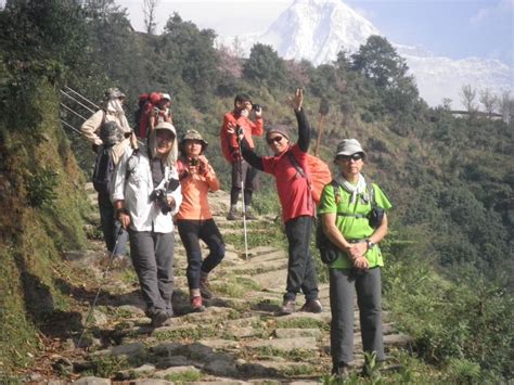 Mardi Himal Trekking Unbelievable Mountain View Mardi Trek Getyourguide