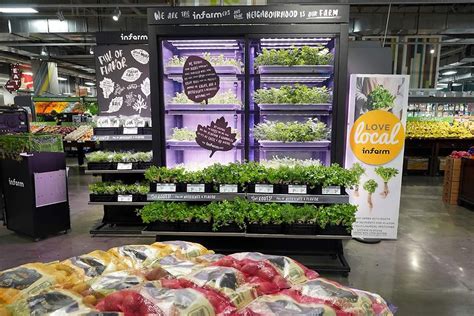 Vertical farming Das Ernährungssystem der Zukunft LGT