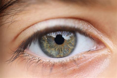 Eye Vision Sight Free Photo On Pixabay
