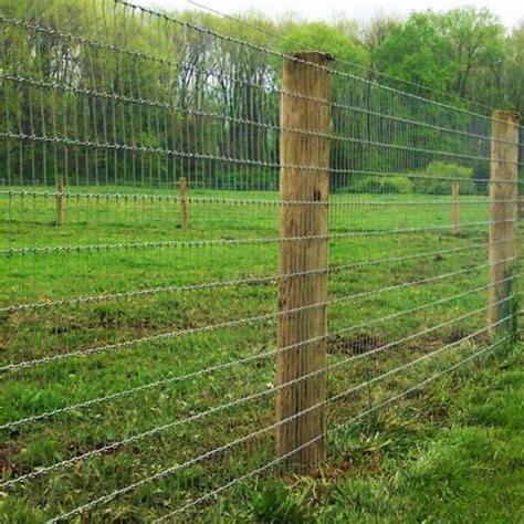 Field Fence Galvanized BSI Steel Zimbabwe