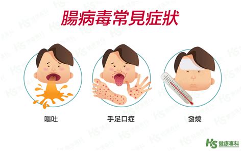 大人也會得腸病毒！專科醫師帶你認識腸病毒症狀與治療 健康專科