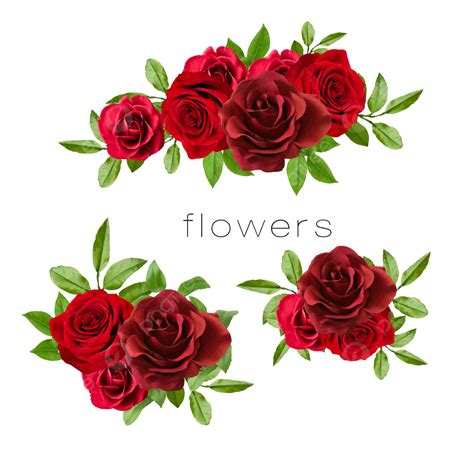 Set Of Red Flowers Rose Border Rose Wreath Rose Png And Vector With