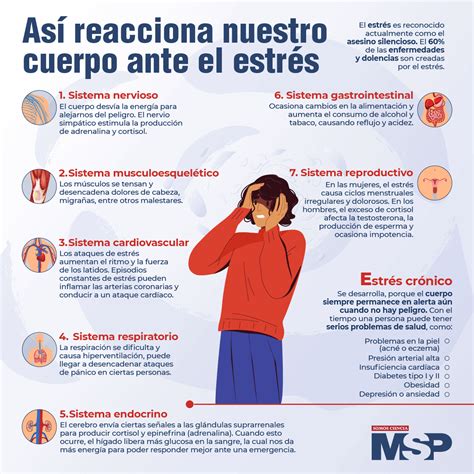 Así reacciona nuestro cuerpo al estrés Infografía