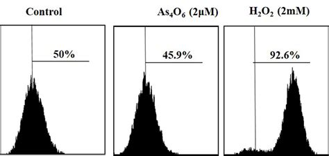 Tetraarsenic Hexoxide Induces G2m Arrest Apoptosis And Autophagy Via