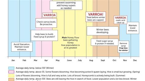 Seasonal Beekeeping Tasks. Free Chart to Download.