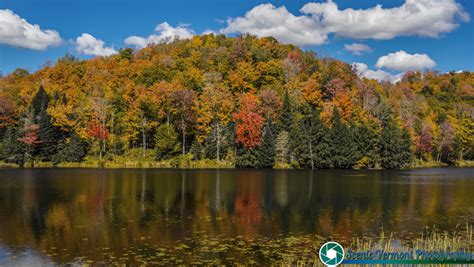 Scenic Vermont Photography- Fall foliage in the Northeast Kingdom of ...