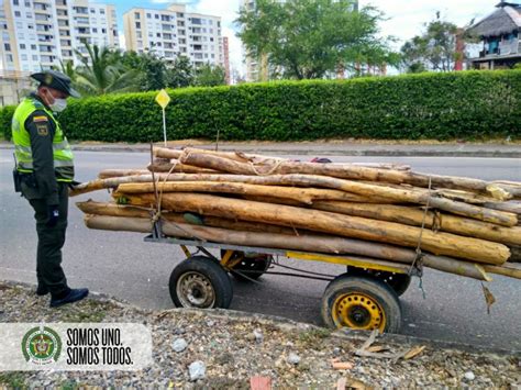 DOS PERSONAS FUERON SORPRENDIDAS TALANDO ÁRBOLES EN LA RIVERA DEL RÍO