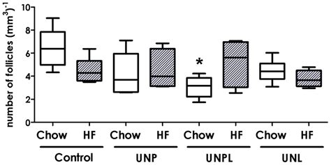 Effect Of Maternal Undernutrition On Offspring Ovarian Primordial