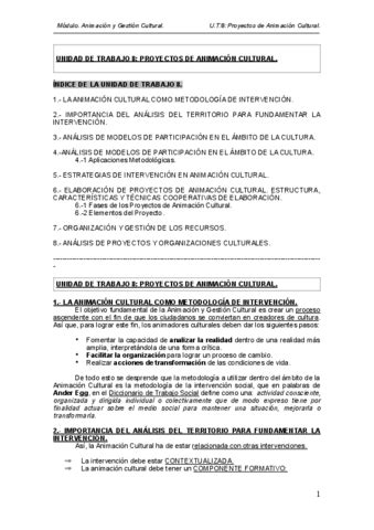 Tema 8 Intervencion En Animacion Cultural Pdf