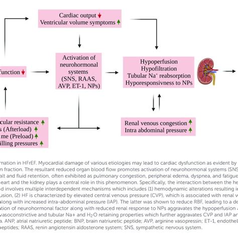 Pdf Edema Formation In Congestive Heart Failure And The Underlying