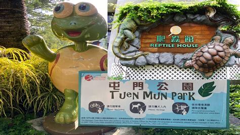 Tuen Mun Park Cascade Reptile House Youtube