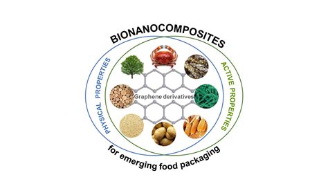 Nanomaterials Free Full Text Graphene Derivatives In Biopolymer