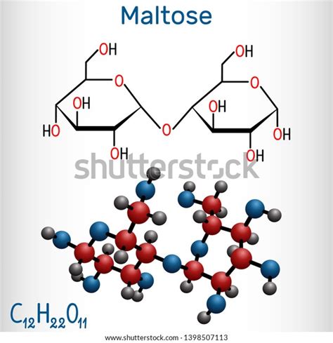 Maltose Malt Sugar Molecule Disaccharide Structural Stock Vector