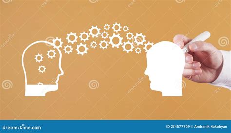 Knowledge Sharing Transferring Stock Image Image Of Think Training