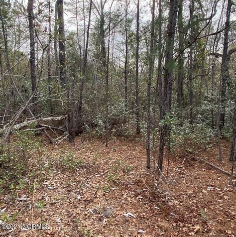 37 Acres In Brunswick County North Carolina