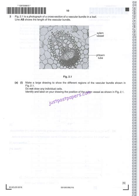 Cie 0610 Biology Paper 6 Alternative To Practical May June 2016 Question Paper