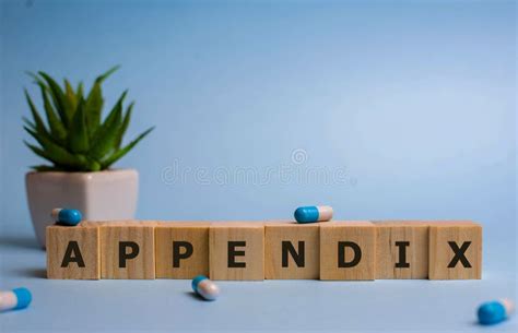 Appendix Word Written On Wood Block Appendix Text On Table Concept