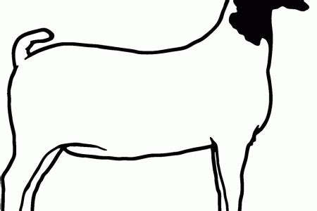 Boer Goat Silhouette | Free download on ClipArtMag