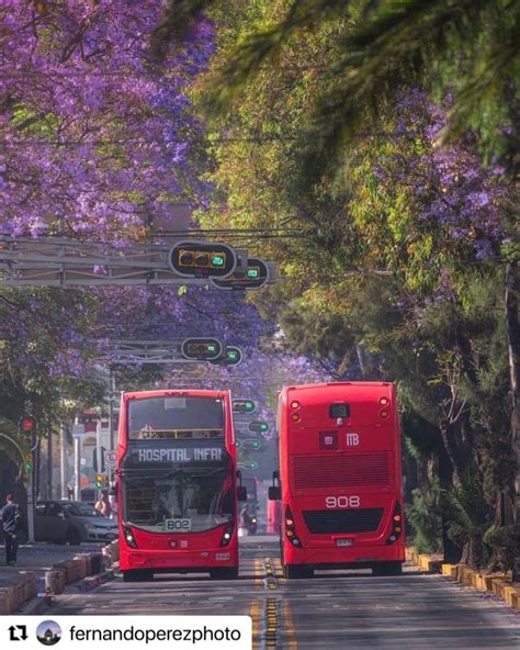 Pin De Er Ndira P Rez Hern Ndez En M Xico Lindo En Ciudad De