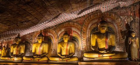 Aukana Buddha Statue Green Holiday Travels