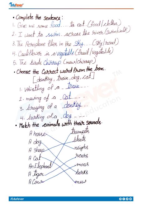 CBSE Class 3 English Puppy And I Worksheet With Solutions