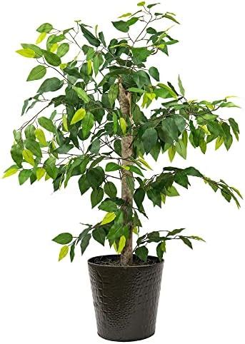 Amazon 4FT Artificial Ficus Tree In Black Metal Pot Natural Wood