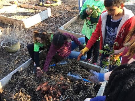 Chalker Elementary Chalker Elementary School Green Team
