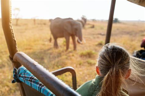 Wildlife Tourism Worth Five Times More Than Poaching