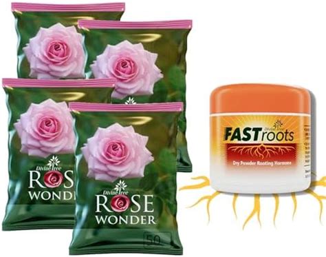 Divine Tree Fast Root Dry Rooting Hormone Powder For Plants Cuttings