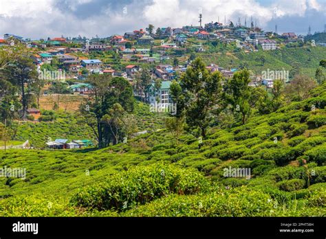 Panorama View Of Nuwara Eliya At Sri Lanka Stock Photo Alamy