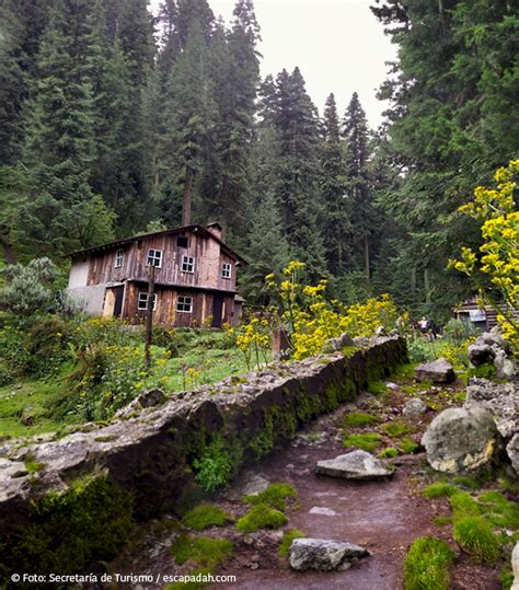 Sab As Que La Cdmx Tiene Una Joya Verde Conoce El Parque Nacional