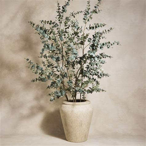 Faux Potted Eucalyptus Tree West Elm